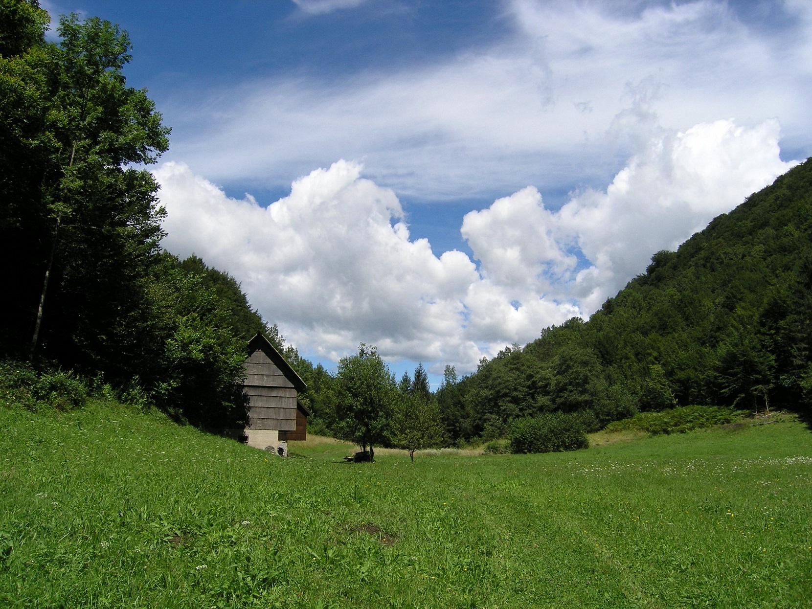 Kupari