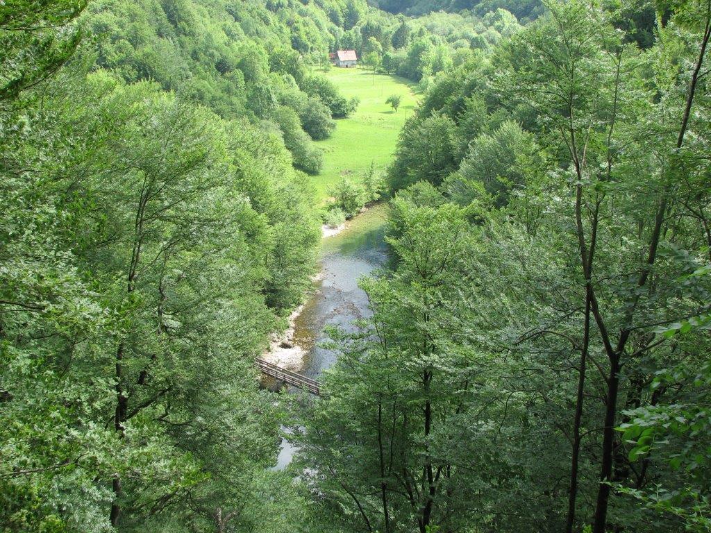 Gornji tok reke Kolpe, Gornji Kupari