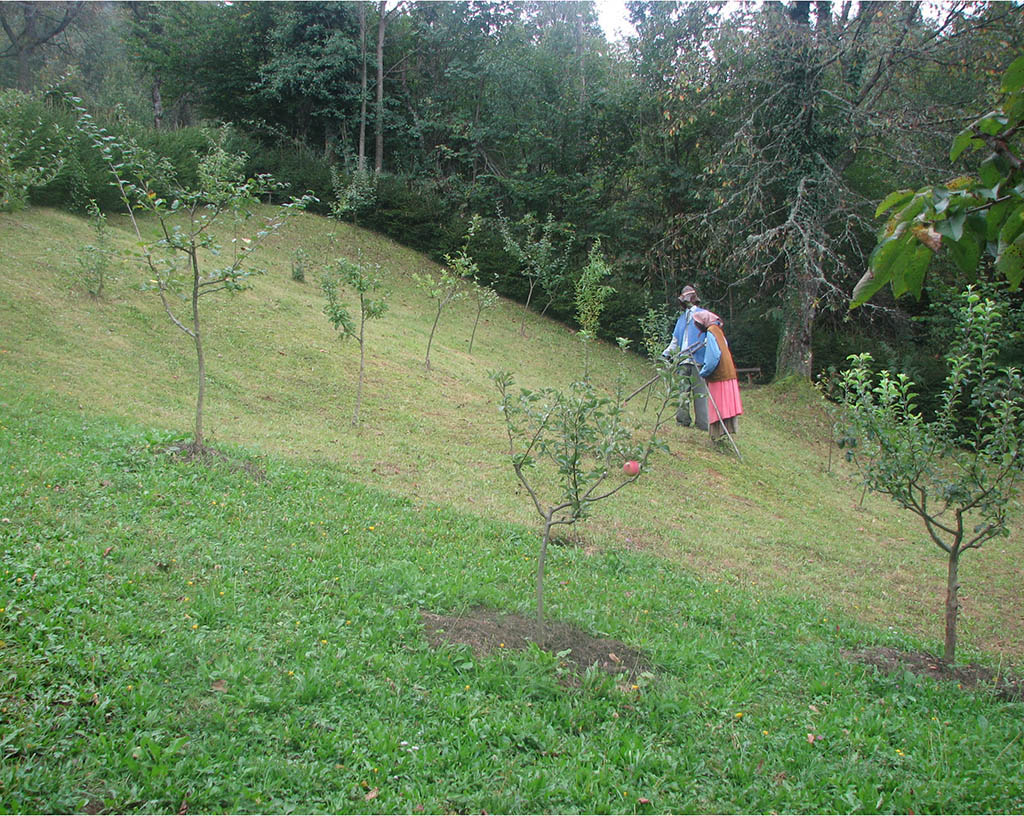 Travniški sadovnjaki