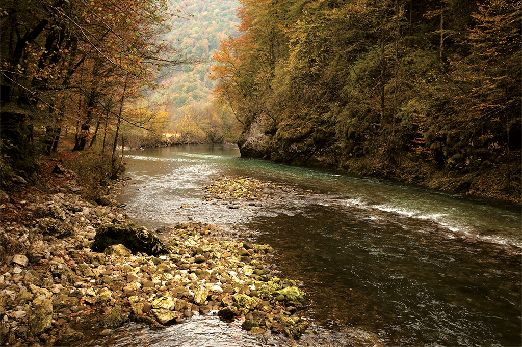 Kupa Valley
