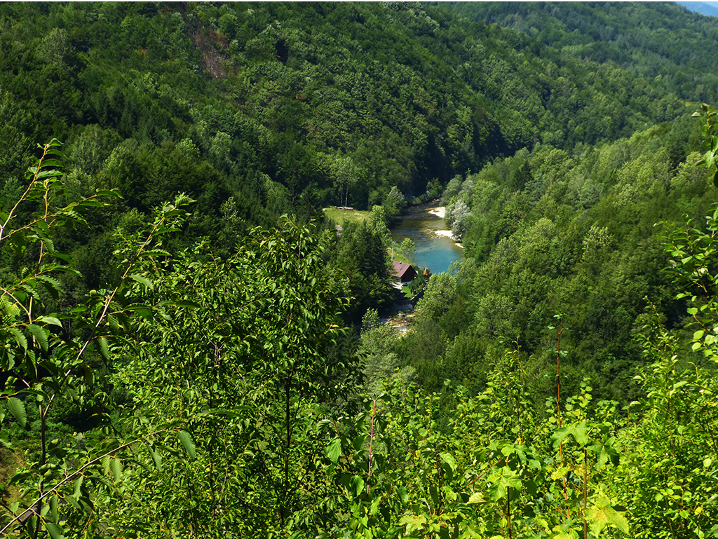 Kupa Valley