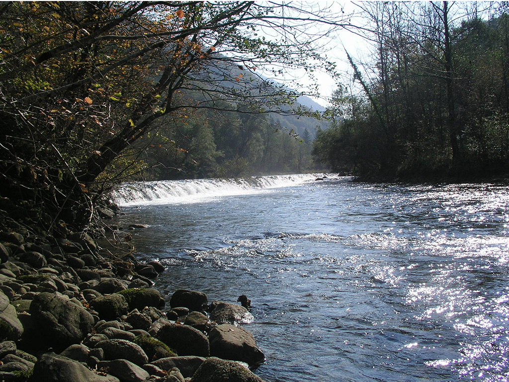 The upper course of the River Kupa