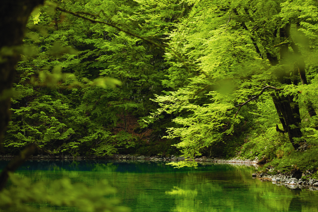 The source of the river Kupa