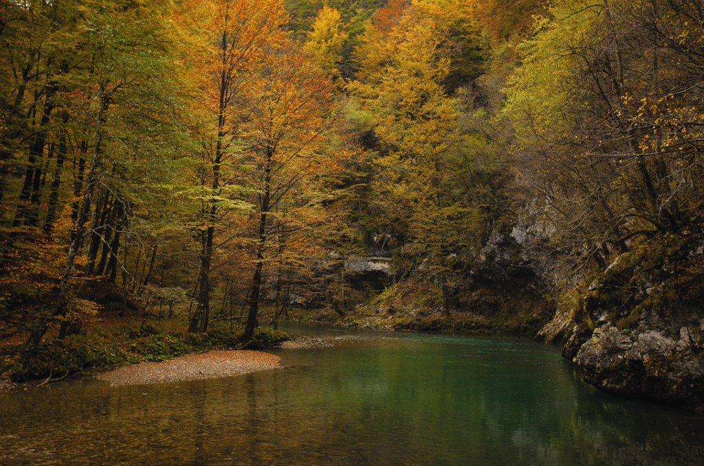 Trail along the river Kupa