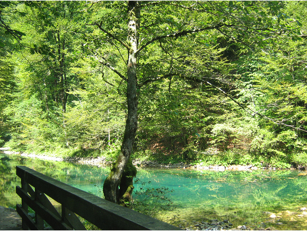 Trail along the river Kupa