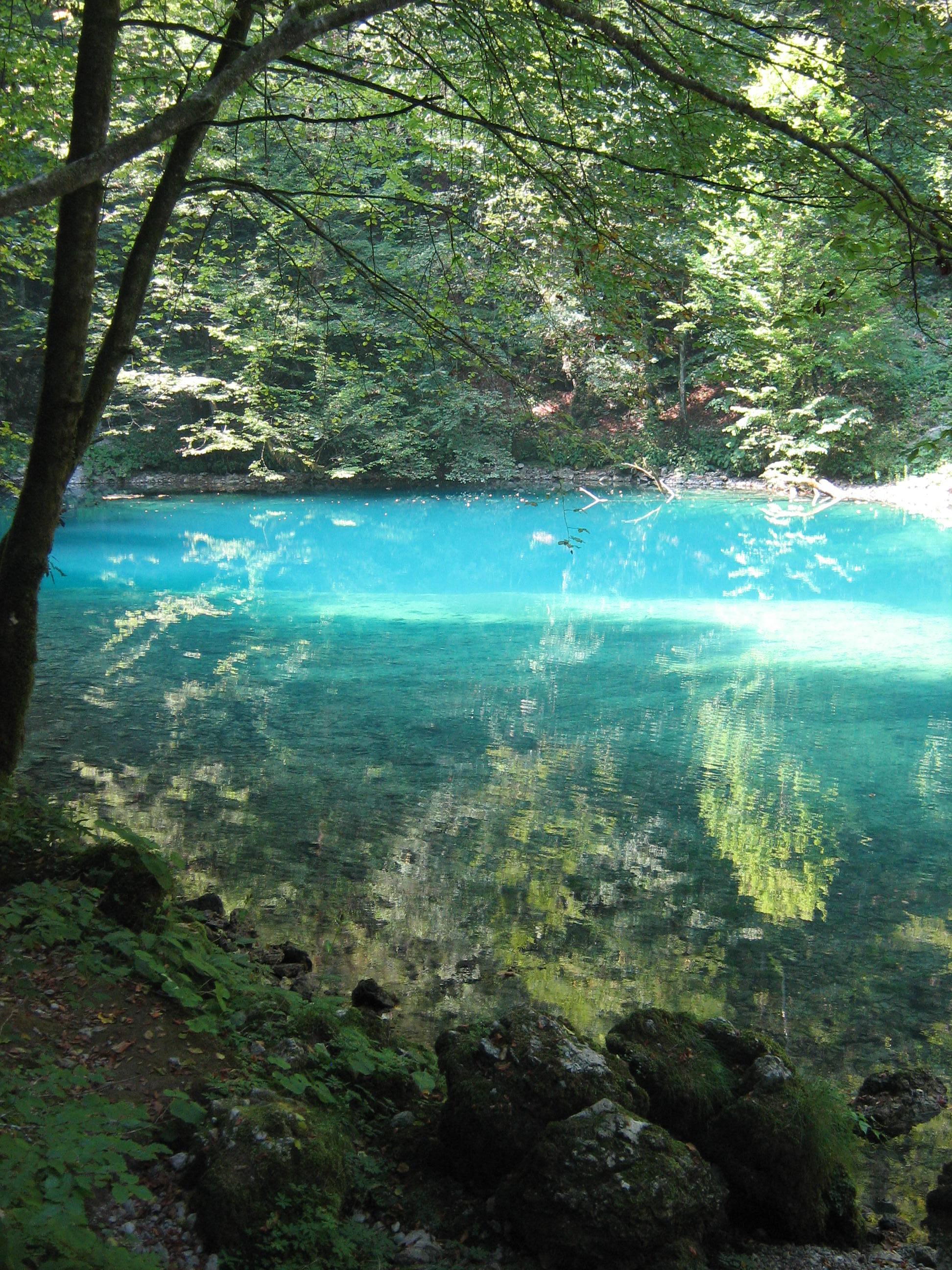 The Source of the River Kupa